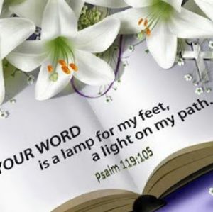 Meet your Posher, Eskedar